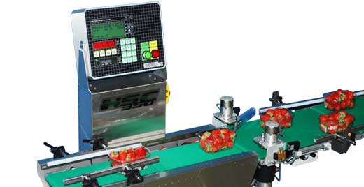 
The flip ejector works quickly but softly: no damage is done to product and operators can easily correct the weight of punnets.