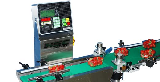 
The flip ejector works quickly but softly: no damage is done to product and operators can easily correct the weight of punnets.